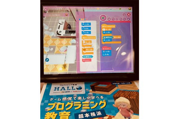 パイソン言語