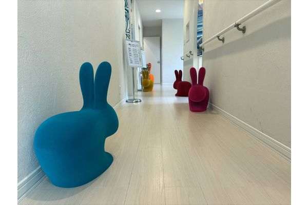 社会で輝ける力を育む