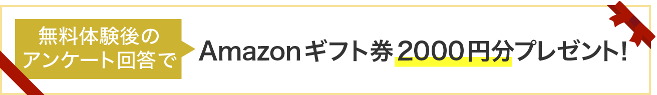 Amazonギフト券2000円分プレゼント中!